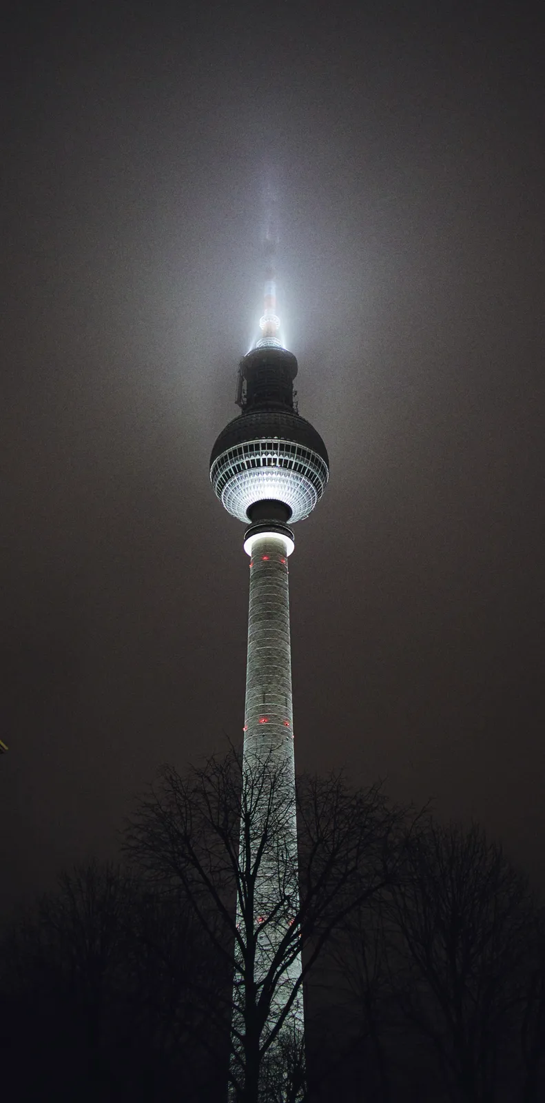 Ein hoher, beleuchteter Turm steht nachts hinter dunklen Baumkronen gegen einen grauen Himmel.