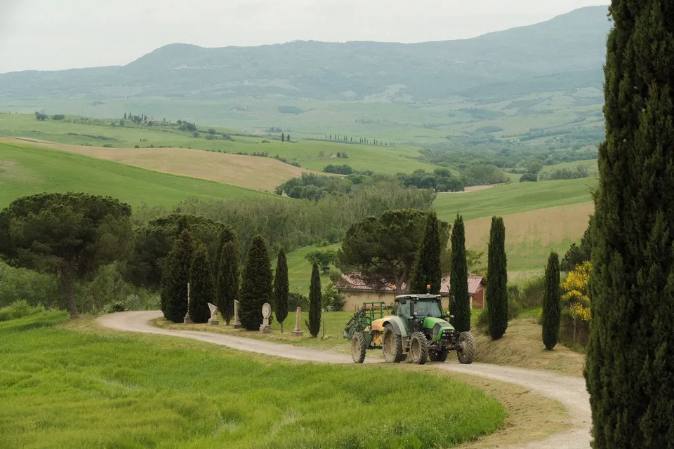 Ein grüner Traktor fährt auf einem unbefestigten Weg durch eine hügelige Landschaft mit Pinien und Zypressen.