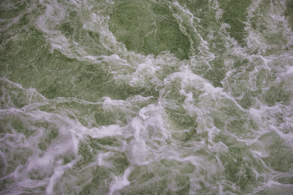 Nahaufnahme von grünlichem Wasser mit weißen Schaumkronen.