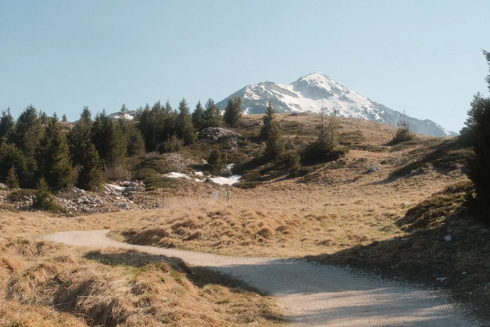 Ein schneebedeckter Berg ragt über eine hügelige Landschaft mit Nadelbäumen und einem geschwungenen Pfad.