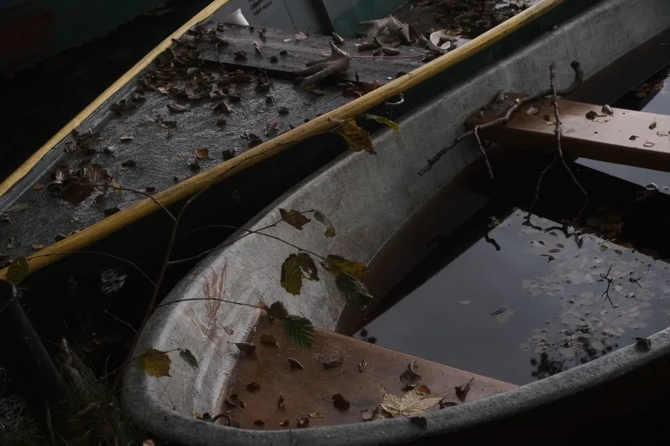 Zwei alte, mit Blättern bedeckte Boote liegen in einem dunklen Bereich mit Wasser.