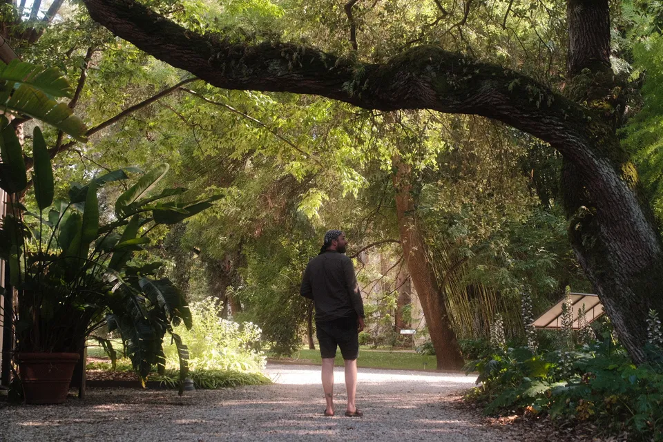 Eine Person steht mit dem Rücken zum Betrachter auf einem Kiesweg in einem üppigen Garten unter einem großen Baum.