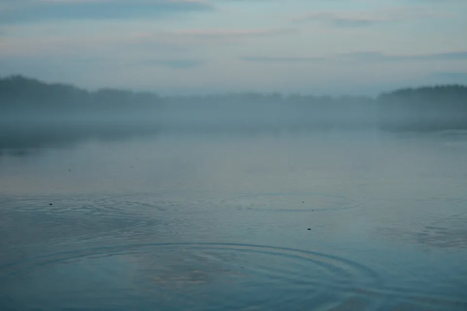 Ein nebliger See mit sanften Wellen im Vordergrund unter einem bedeckten Himmel.