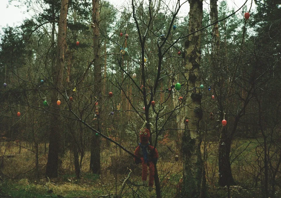 Eine Person steht im Wald vor einem Baum, der mit vielen farbigen Kugeln geschmückt ist.