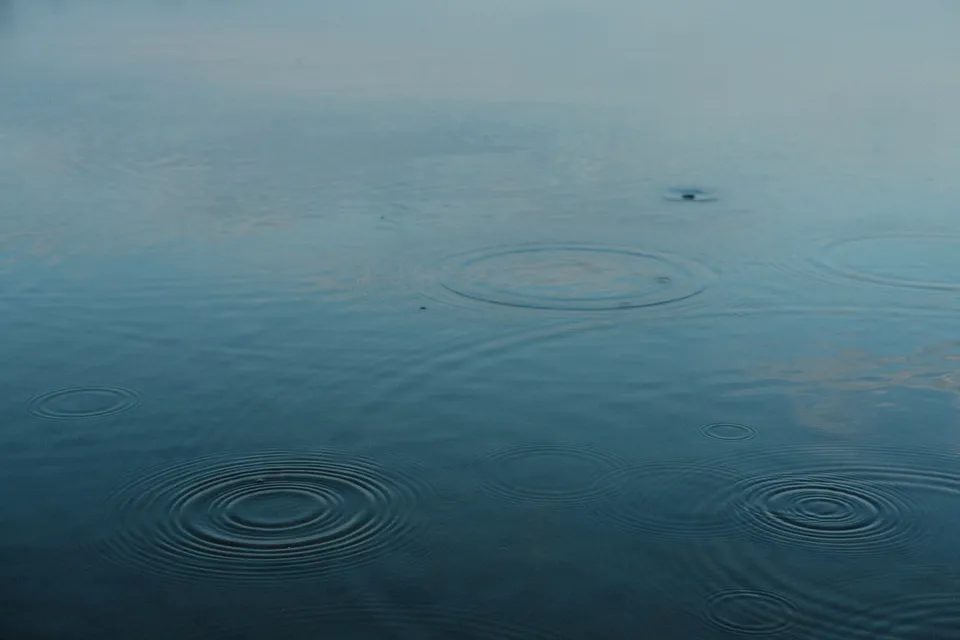 Konzentrische Wellen breiten sich auf einer ruhigen, bläulichen Wasseroberfläche aus.