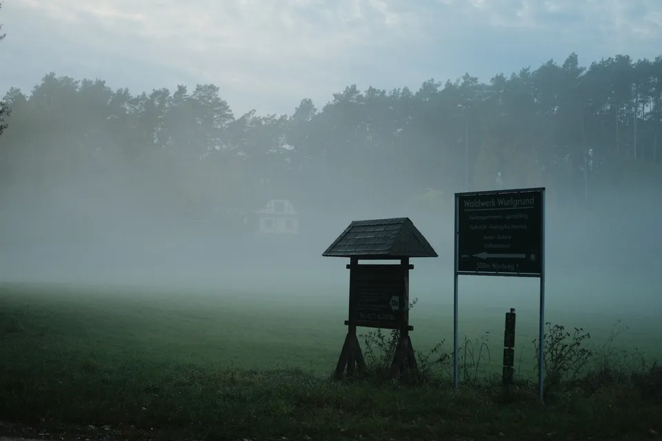 Ein nebliger Waldrand mit einer Wiese und zwei Informationstafeln im Vordergrund.