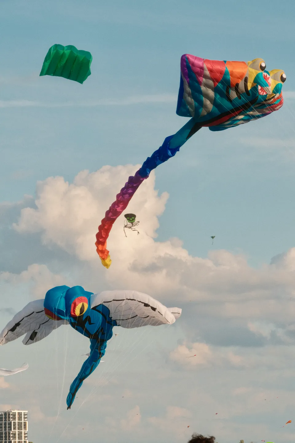 Verschiedene bunte Drachen in verschiedenen Formen fliegen an einem leicht bewölkten blauen Himmel.